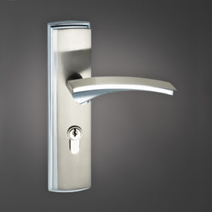 Canova Cylinder Door Lockset