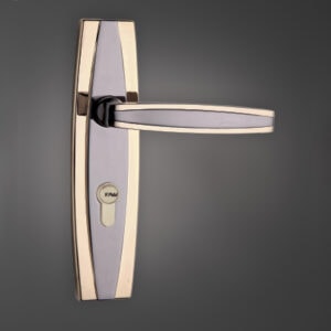 Romano Cylinder Door Lockset
