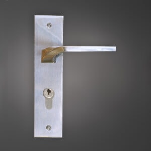 Rosa Cylinder Door Lockset